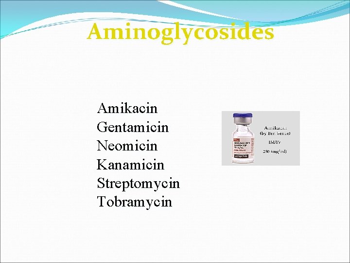 Aminoglycosides Amikacin Gentamicin Neomicin Kanamicin Streptomycin Tobramycin 