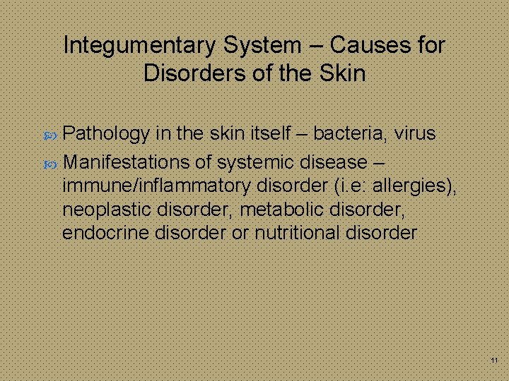 Integumentary System – Causes for Disorders of the Skin Pathology in the skin itself