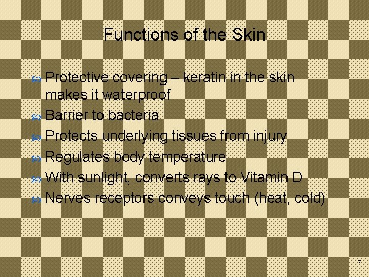 Functions of the Skin Protective covering – keratin in the skin makes it waterproof