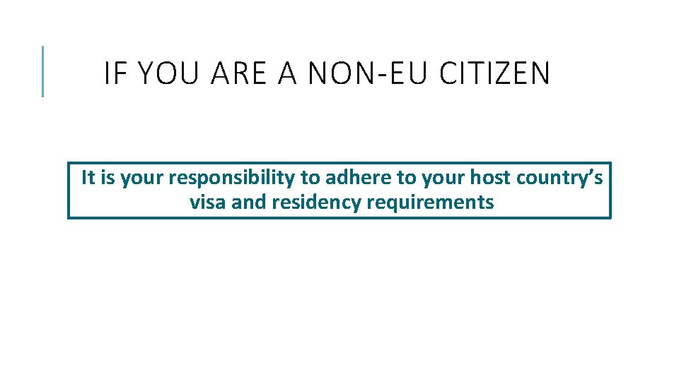 IF YOU ARE A NON-EU CITIZEN It is your responsibility to adhere to your