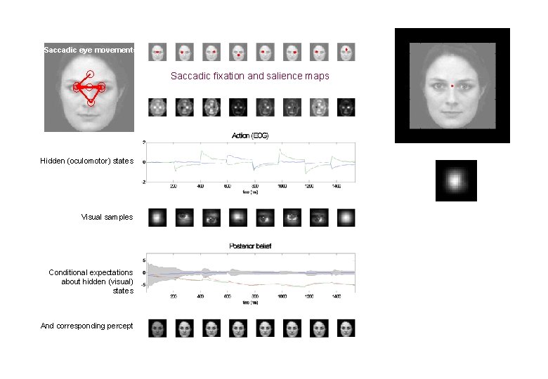 Saccadic eye movements Saccadic fixation and salience maps Hidden (oculomotor) states Visual samples Conditional