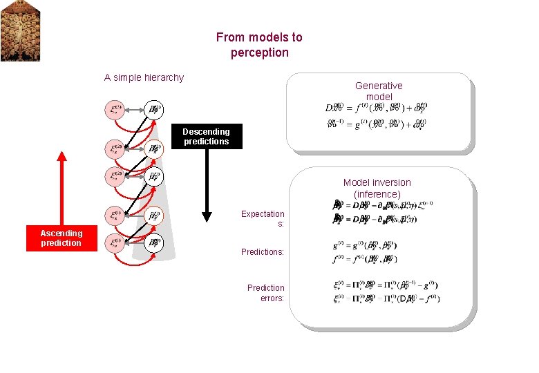 From models to perception A simple hierarchy Generative model Descending predictions Model inversion (inference)