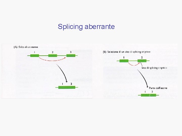 Splicing aberrante Splicing aberrante