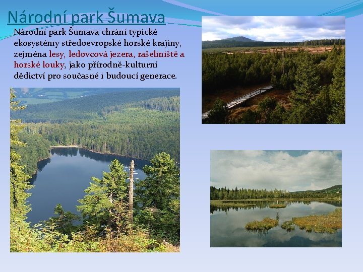 Národní park Šumava chrání typické ekosystémy středoevropské horské krajiny, zejména lesy, ledovcová jezera, rašeliniště