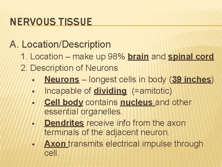 NERVOUS TISSUE A. Location/Description 1. Location – make up 98% brain and spinal cord