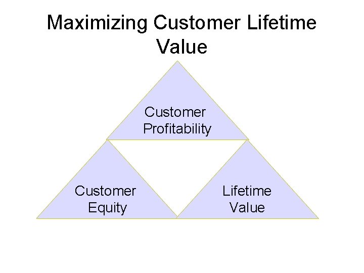Maximizing Customer Lifetime Value Customer Profitability Customer Equity Lifetime Value 