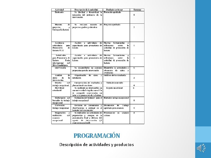 PROGRAMACIÓN Descripción de actividades y productos 