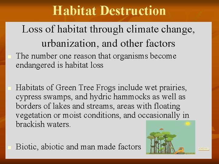 Habitat Destruction Loss of habitat through climate change, urbanization, and other factors n n