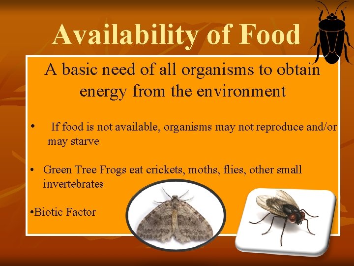 Availability of Food A basic need of all organisms to obtain energy from the