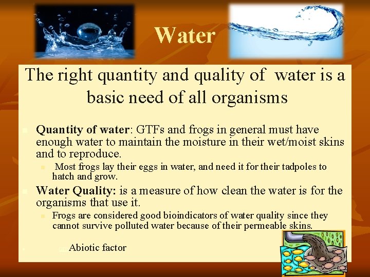 Water The right quantity and quality of water is a basic need of all