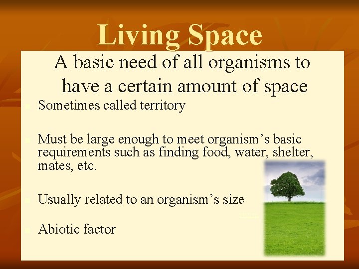 Living Space A basic need of all organisms to have a certain amount of