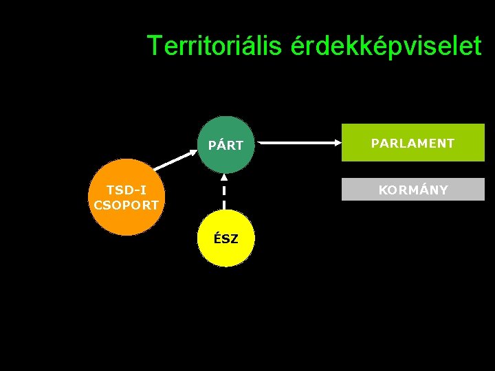 Territoriális érdekképviselet PÁRT PARLAMENT KORMÁNY TSD-I CSOPORT ÉSZ 19 