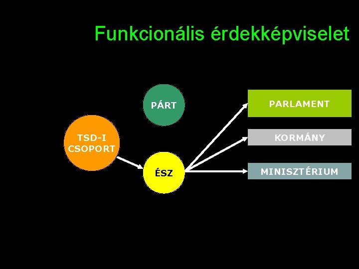 Funkcionális érdekképviselet PÁRT PARLAMENT KORMÁNY TSD-I CSOPORT ÉSZ MINISZTÉRIUM 20 