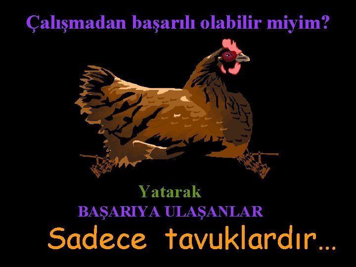 Çalışmadan başarılı olabilir miyim? Yatarak BAŞARIYA ULAŞANLAR Sadece tavuklardır… 