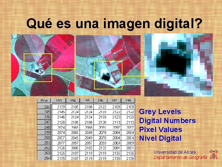Qué es una imagen digital? Grey Levels Digital Numbers Pixel Values Nivel Digital Universidad