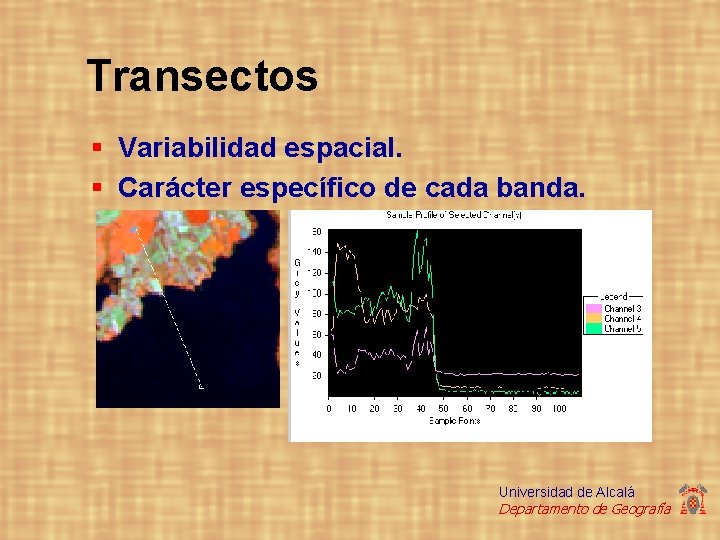 Transectos § Variabilidad espacial. § Carácter específico de cada banda. Universidad de Alcalá Departamento