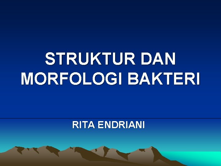 STRUKTUR DAN MORFOLOGI BAKTERI RITA ENDRIANI 