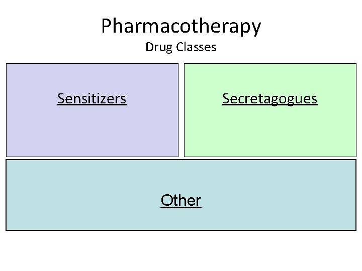 Pharmacotherapy Drug Classes Sensitizers Secretagogues Other 