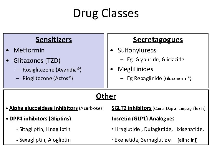 Drug Classes Sensitizers Secretagogues • Metformin • Glitazones (TZD) • Sulfonylureas – Eg. Glyburide,