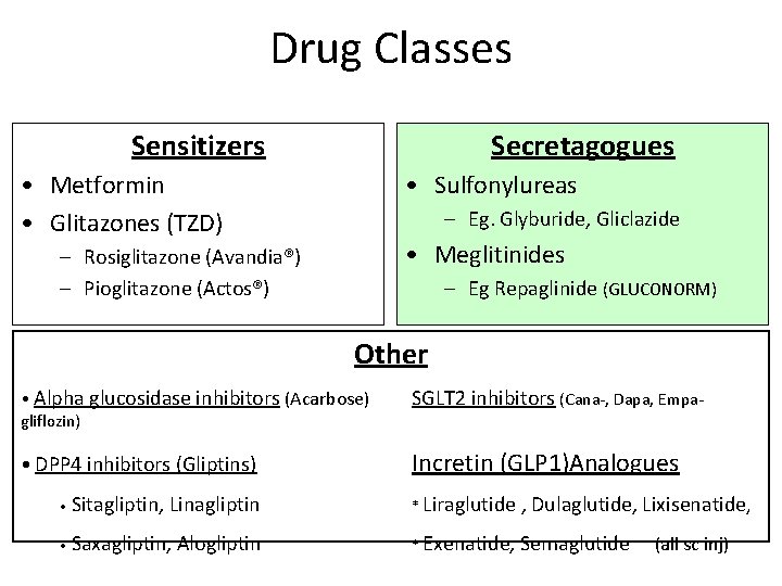 Drug Classes Sensitizers Secretagogues • Metformin • Glitazones (TZD) • Sulfonylureas – Eg. Glyburide,