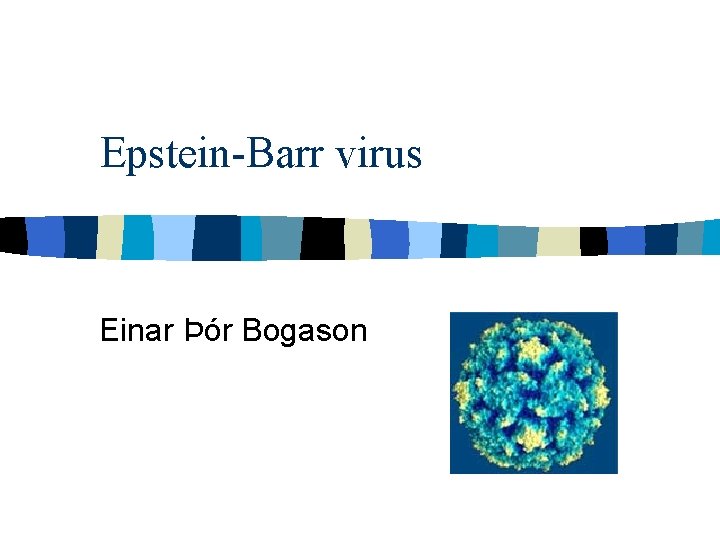 Epstein-Barr virus Einar Þór Bogason 