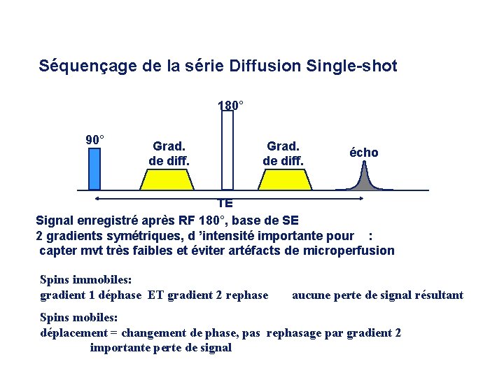  Séquençage de la série Diffusion Single-shot 180° 90° Grad. de diff. écho TE