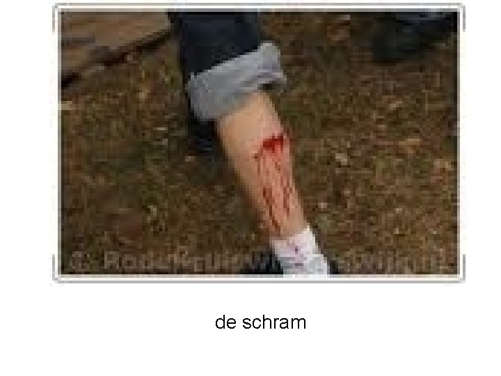 de schram 