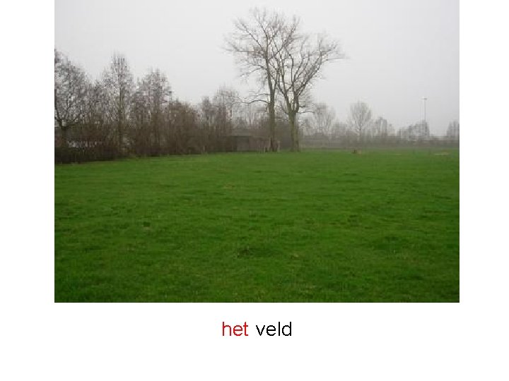 het veld 