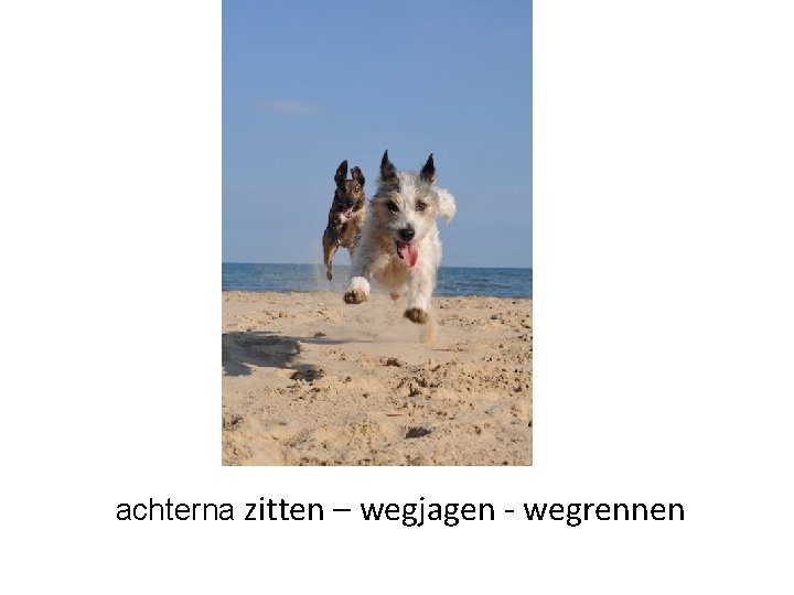 achterna zitten – wegjagen - wegrennen 