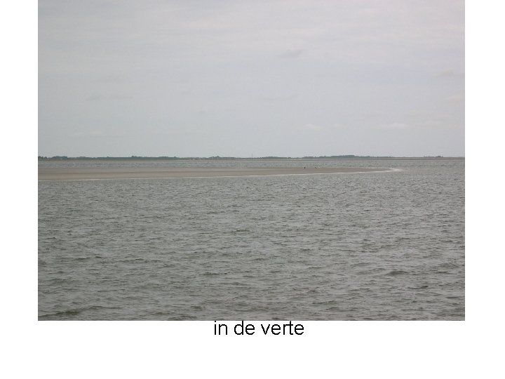 in de verte 