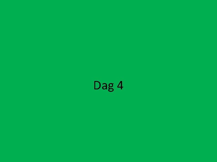 Dag 4 