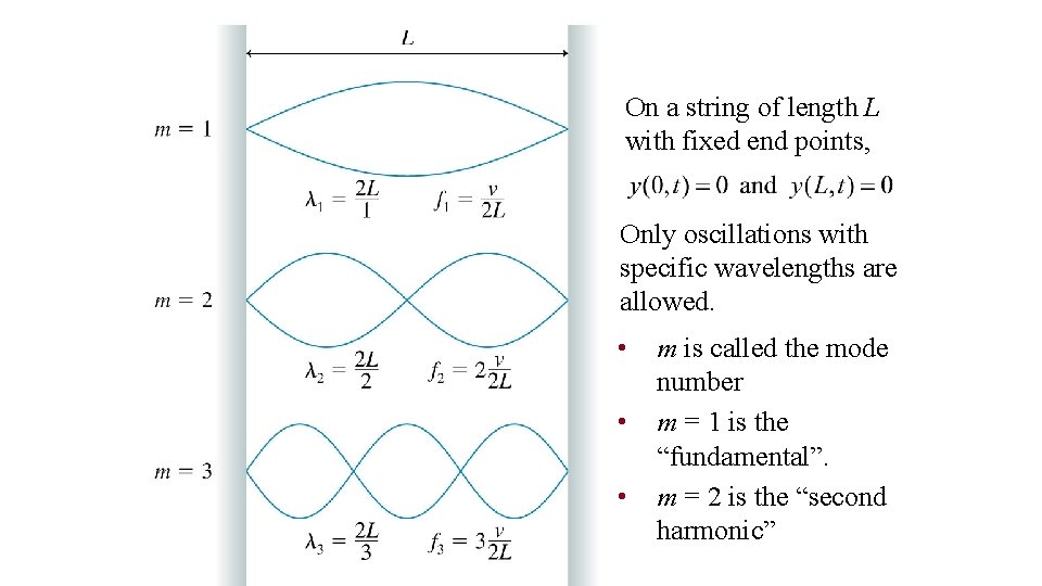 On a string of length L with fixed end points, Only oscillations with specific