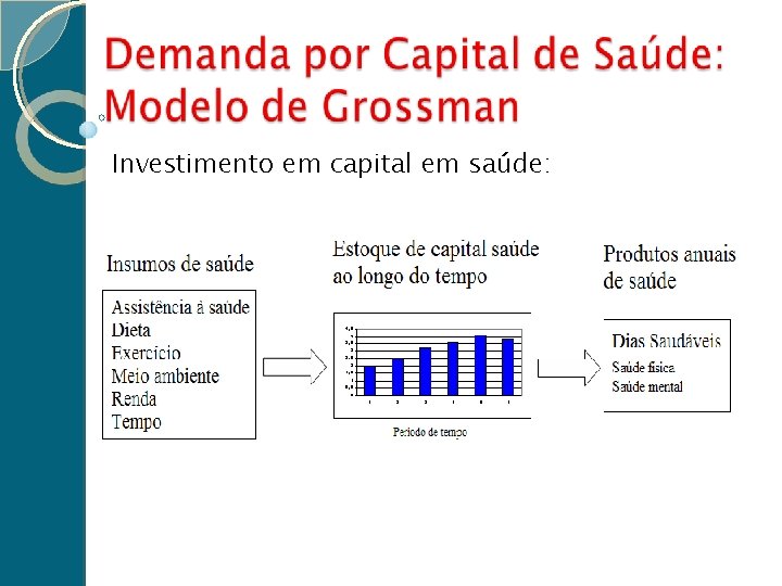 Investimento em capital em saúde: 