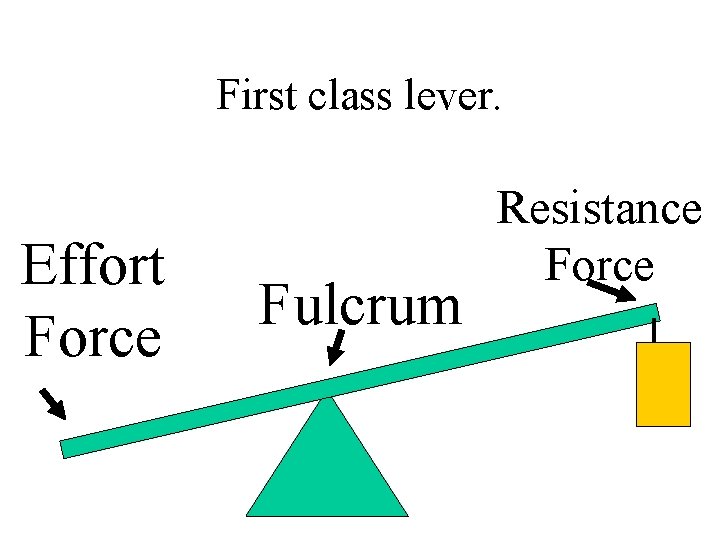First class lever. Effort Force Fulcrum Resistance Force 