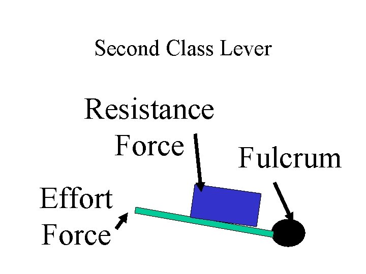 Second Class Lever Resistance Force Fulcrum Effort Force 