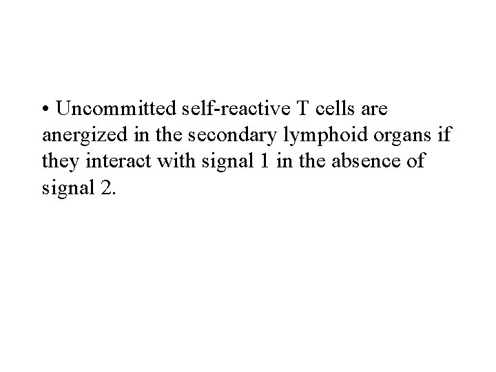  • Uncommitted self reactive T cells are anergized in the secondary lymphoid organs