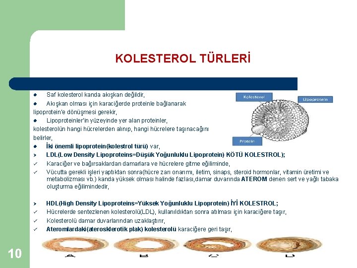 KOLESTEROL TÜRLERİ Saf kolesterol kanda akışkan değildir, l Akışkan olması için karaciğerde proteinle bağlanarak