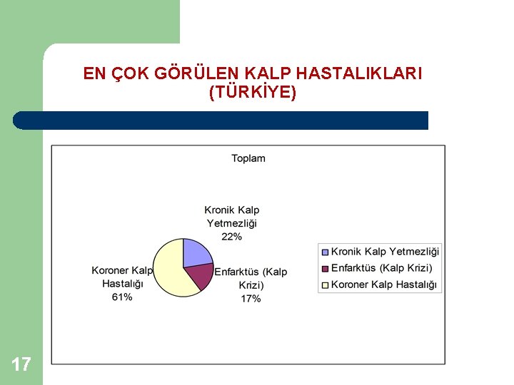 EN ÇOK GÖRÜLEN KALP HASTALIKLARI (TÜRKİYE) 17 