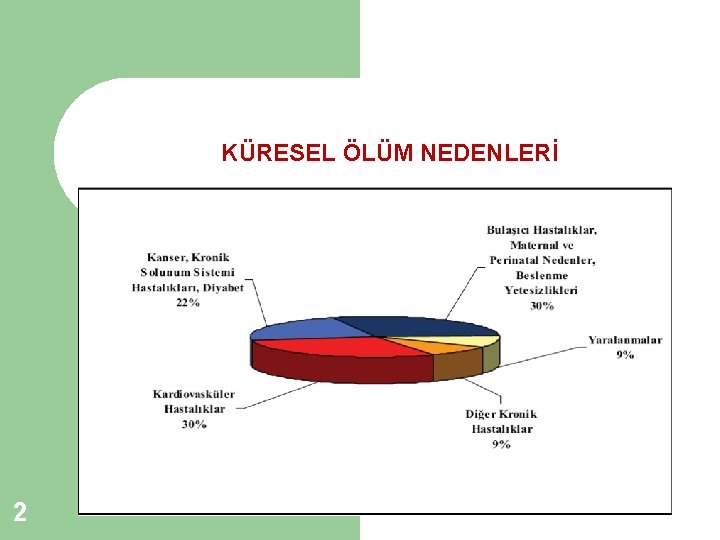 KÜRESEL ÖLÜM NEDENLERİ 2 