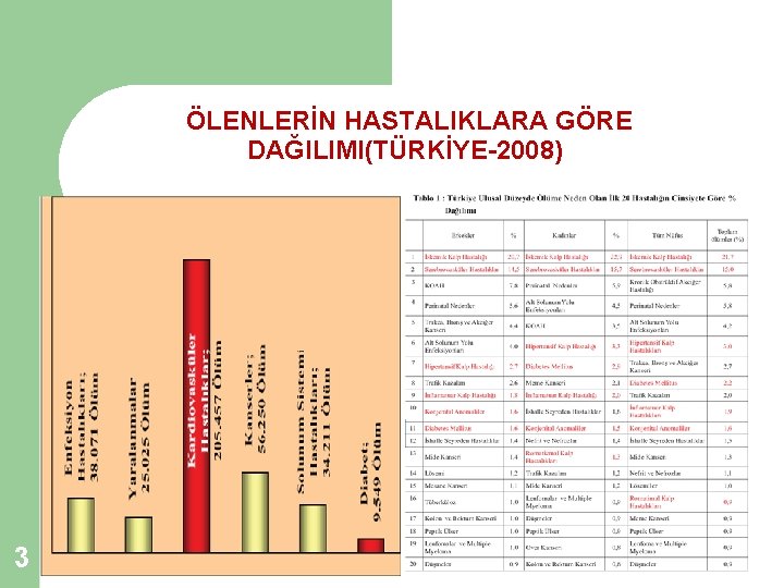 ÖLENLERİN HASTALIKLARA GÖRE DAĞILIMI(TÜRKİYE-2008) 3 