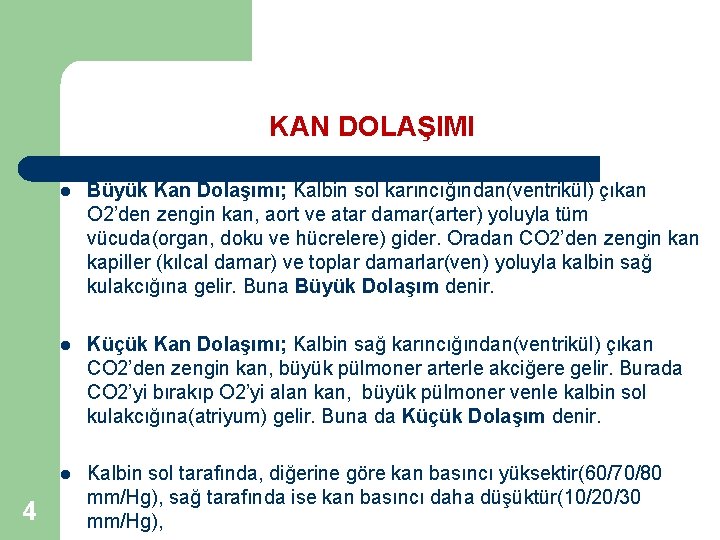 KAN DOLAŞIMI 4 l Büyük Kan Dolaşımı; Kalbin sol karıncığından(ventrikül) çıkan O 2’den zengin