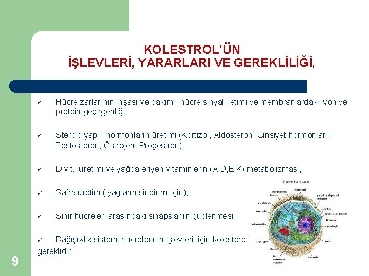 KOLESTROL’ÜN İŞLEVLERİ, YARARLARI VE GEREKLİLİĞİ, ü Hücre zarlarının inşası ve bakımı, hücre sinyal iletimi