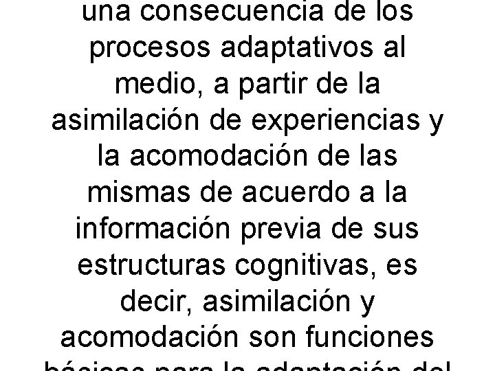 una consecuencia de los procesos adaptativos al medio, a partir de la asimilación de