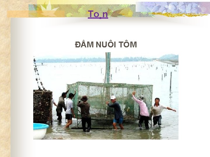 To¸n ĐẦM NUÔI TÔM 