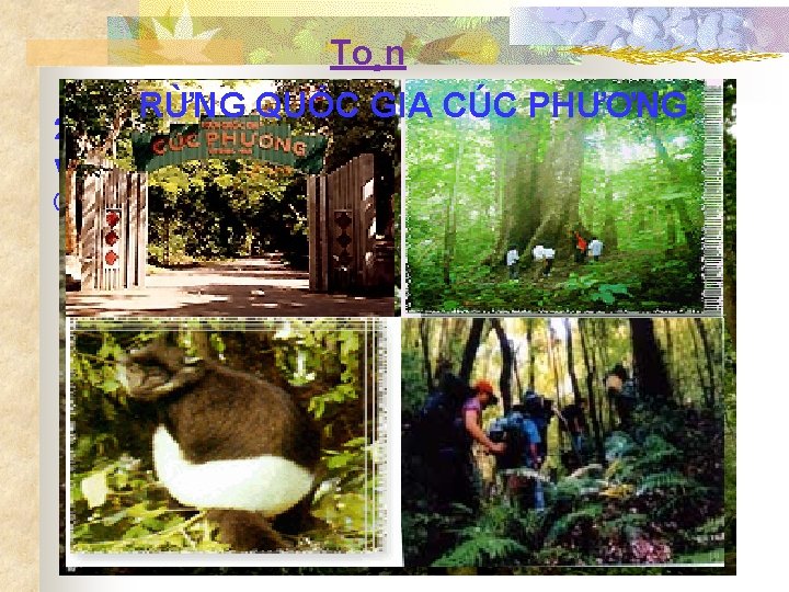 To¸n RỪNG QUỐC GIA CÚC PHƯƠNG 2. DiÖn tÝch rõng Cóc Ph ¬ng lµ