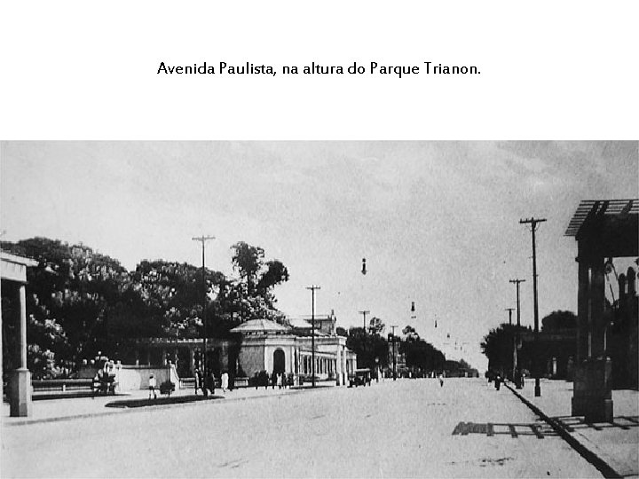 Avenida Paulista, na altura do Parque Trianon. 