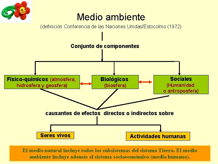 UNIDAD 1 CONCEPTO DE MEDIO AMBIENTE Y DINMICA