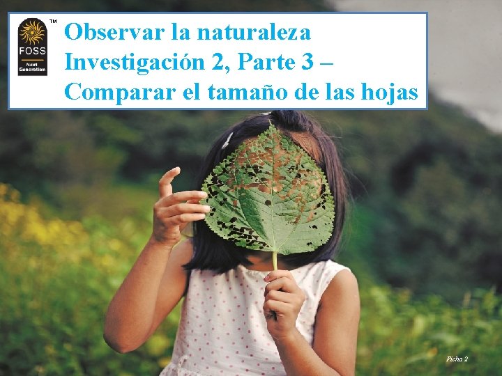 TM TM Observar la naturaleza Investigación 2, Parte 3 – Comparar el tamaño de