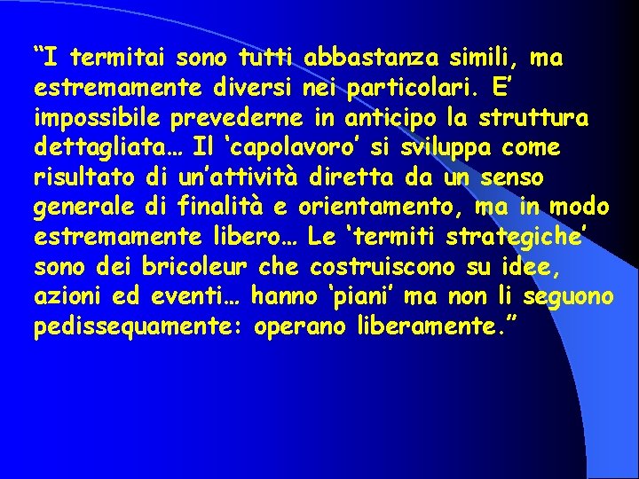 “I termitai sono tutti abbastanza simili, ma estremamente diversi nei particolari. E’ impossibile prevederne