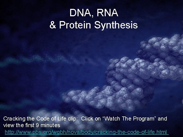 DNA, RNA & Protein Synthesis Cracking the Code of Life clip: Click on “Watch